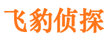 青铜峡市侦探调查公司